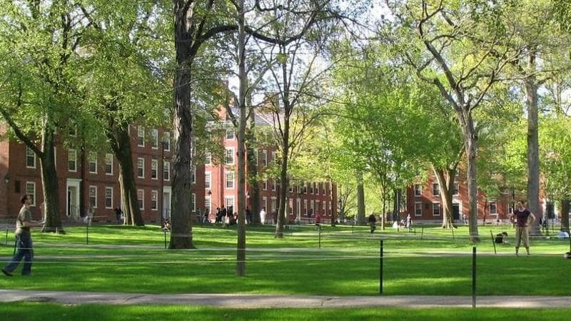 I giardini dell'università di Harvard