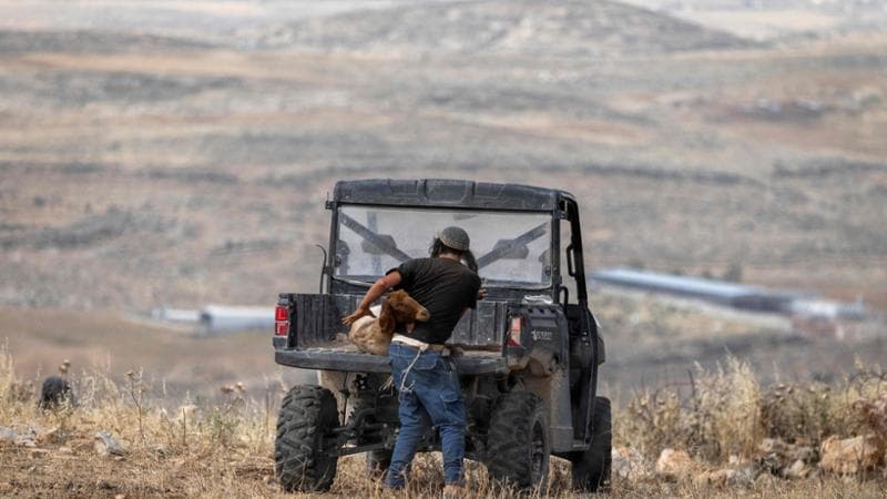 Anteprima: Stop alle importazioni da colonie israeliane in Palestina: la proposta di legge del centr…