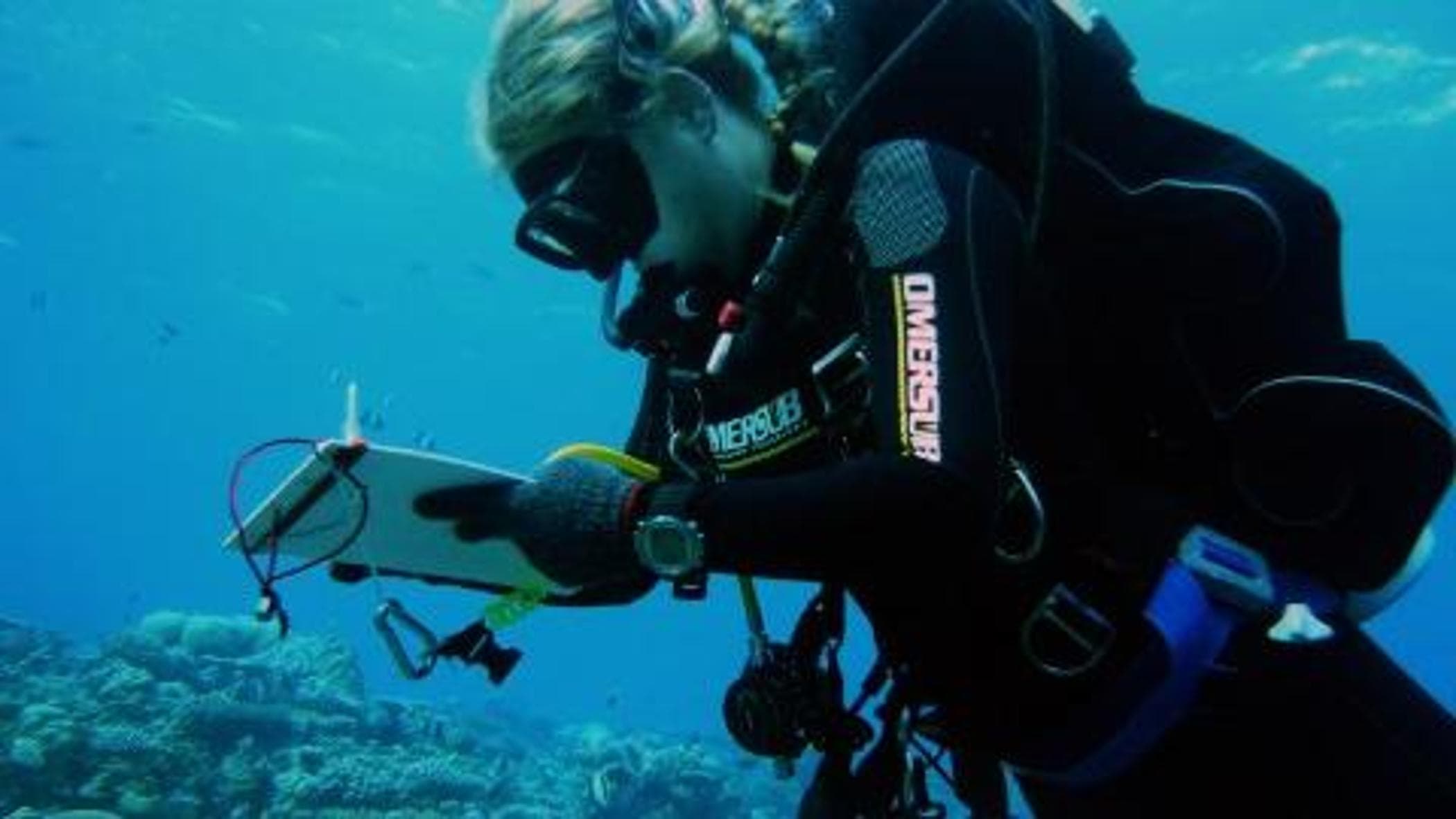 Le Maldive un tesoro per i biologi marini. “Sub espertissimi, ma nelle grotte è facile perdersi”