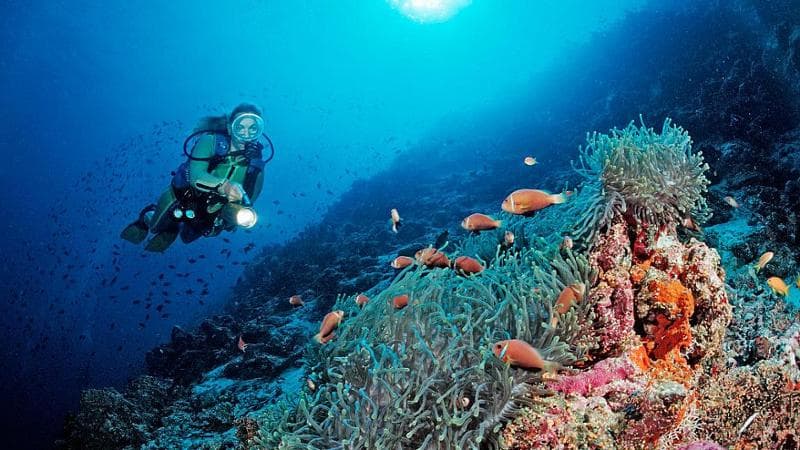 Anteprima: L’atollo di Vaavu, il paradiso delle Maldive in cui sono morti i sub italiani