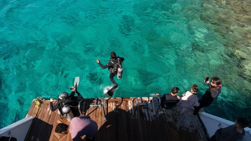 Anteprima: Il paradiso del diving, sogno dei turisti tra squali e coralli
