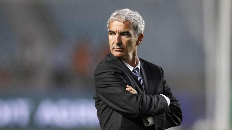 Il diario di Domenech