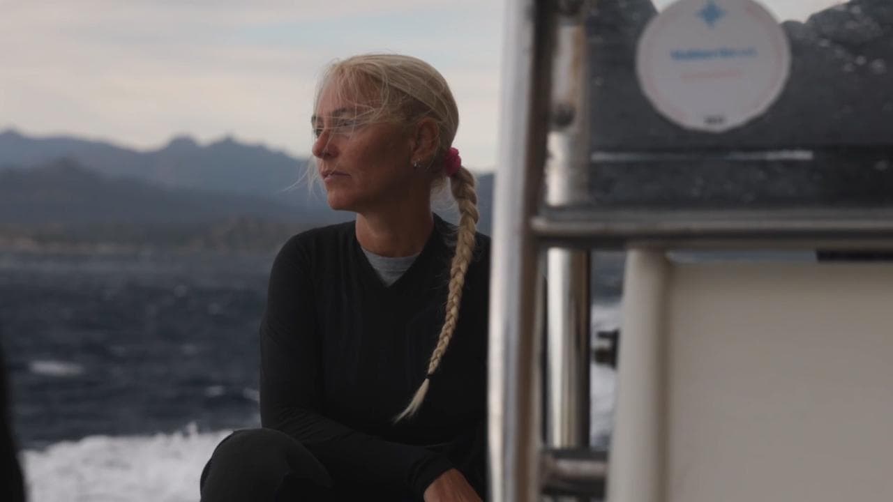 Greenpeace, l'omaggio a Monica Montefalcone: "Quando parlava del mare le si illuminavano gli occhi"