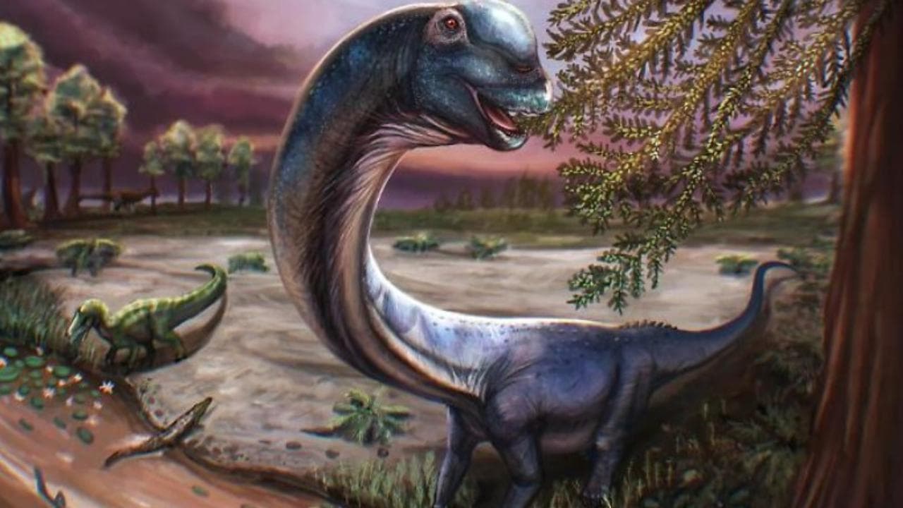 Scoperto in Thailandia il più grande dinosauro del sud-est asiatico: ecco Nagatitan, un gigante da 27 metri