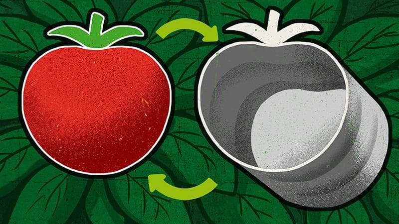 Illustrazione di Alberto Ruggieri