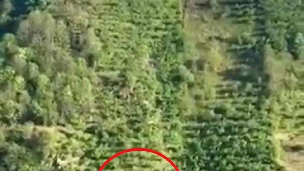 Turchia, pick-up cade in un burrone: il volo di 400 metri ripreso da un testimone oculare