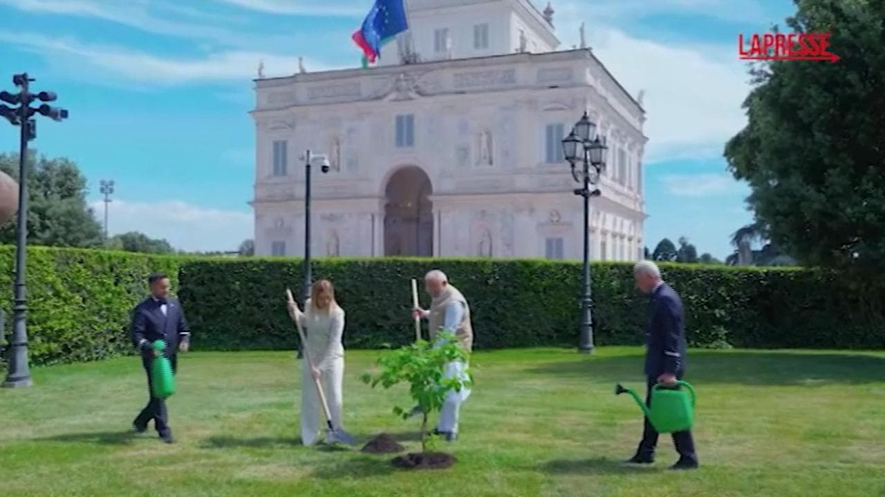 Italia-India, Meloni e Modi chiudono l'incontro con la piantumazione di un gelso nero