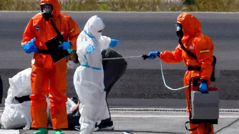 Anteprima: Hantavirus, i casi salgono a 12: positivo un membro dello staff della Hondius r…