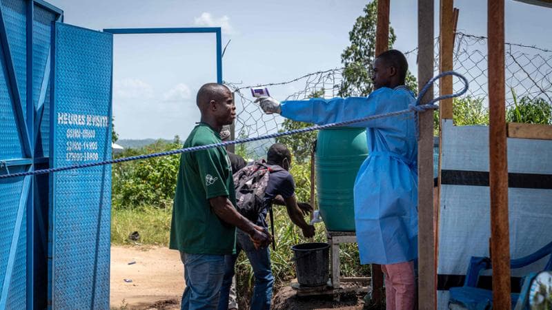 Anteprima: Contatti con malati di Ebola, in quarantena allo Spallanzani una dottoressa che rientrerà…
