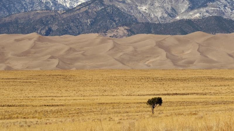 Il caldo non si fermerà qui. Nuovi record di temperatura previsti nei prossimi cinque anni