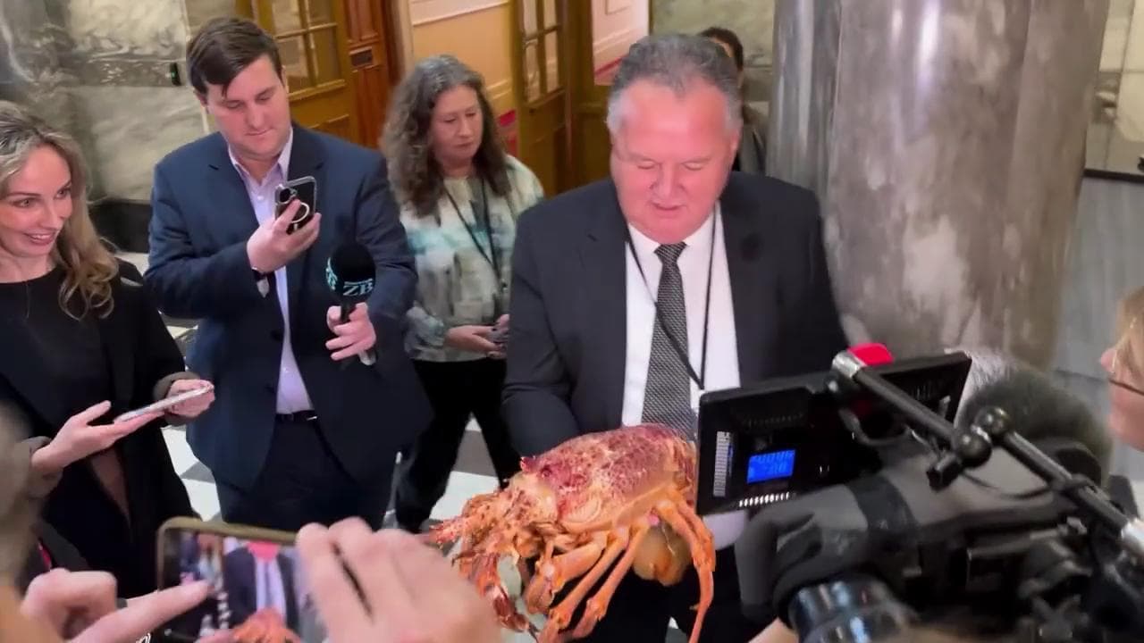 Nuova Zelanda, il ministro della pesca in aula con un'aragosta: "In acqua calda non si muoverà più"