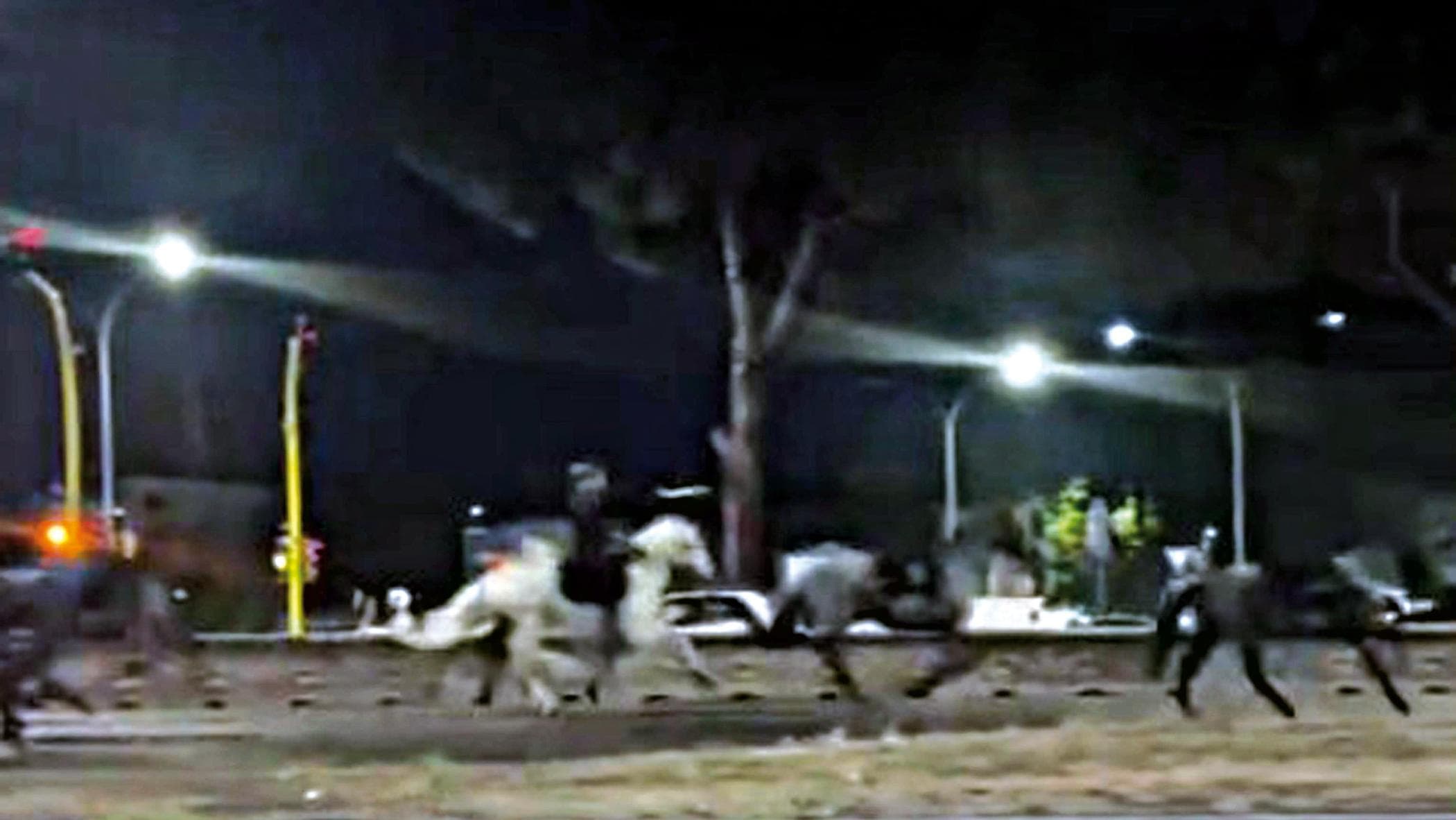 Fuga dei cavalli, il caso in procura: i quattro vigili esclusi dalla parata del 2 giugno