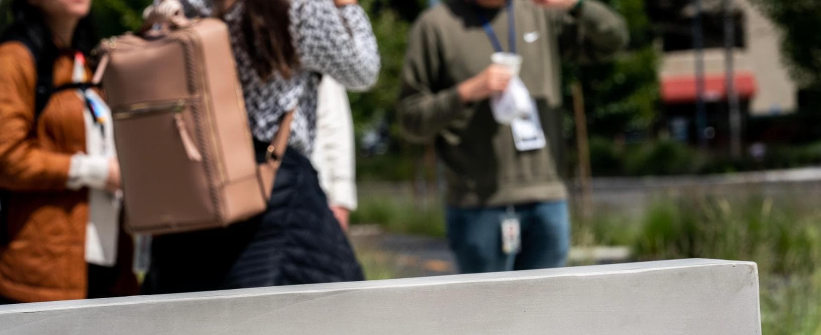 “Dalla lavatrice a un uovo, non sappiamo fare nulla senza chiedere a Google”: il nostro ritratto in 20 anni di ricerche
