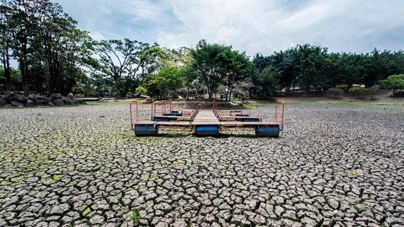 L’Onu conferma l’arrivo di El Niño: “Acque più calde già di 6 gradi”. Causerà siccità e alluvioni