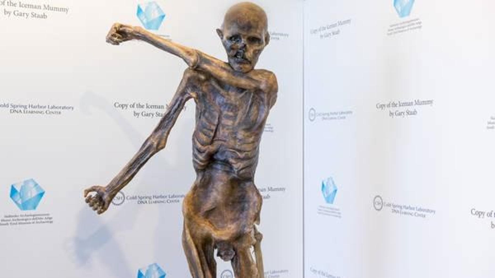 Buzul Çağı'nın Mayasıyla Pişirdik: Ötzi'nin Ekmeği