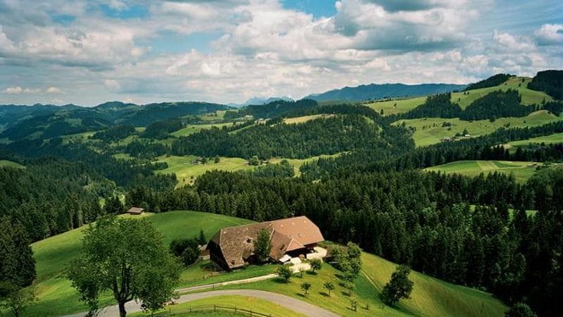 Dalla Svizzera, un archetipo di gusto per tutte le tavole