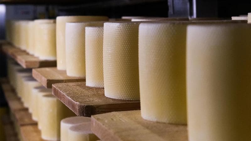 Tête de Moine DOP: il formaggio che si fa rosetta