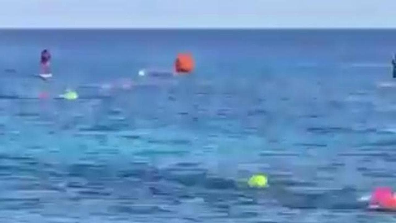 Messico, c'è un coccodrillo in acqua: panico durante una gara di nuoto per bambini