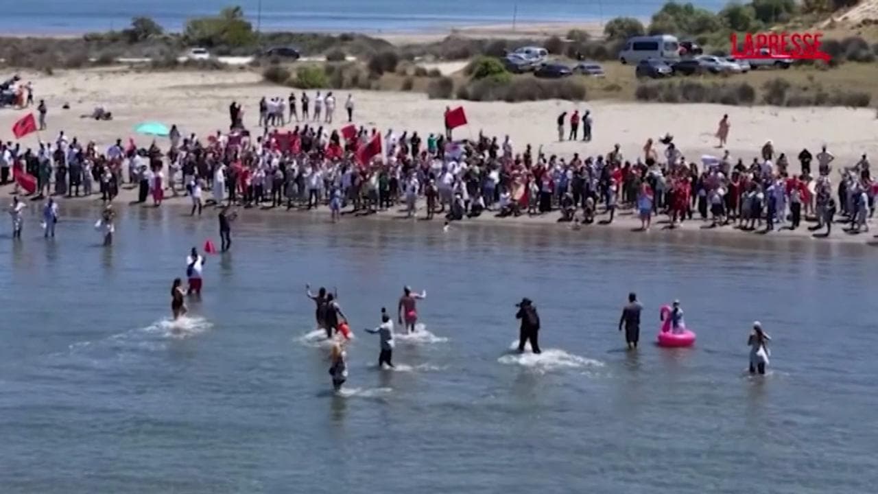 Albania, a decine si radunano sulla spiaggia di Zvernec : la protesta contro il resort di Kushner