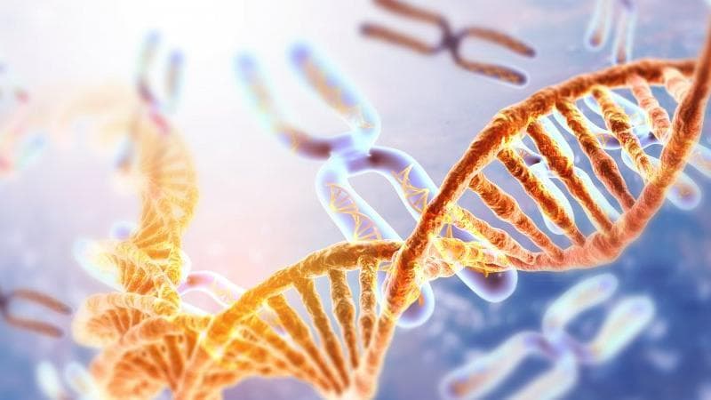 Il fallimento più riuscito della storia