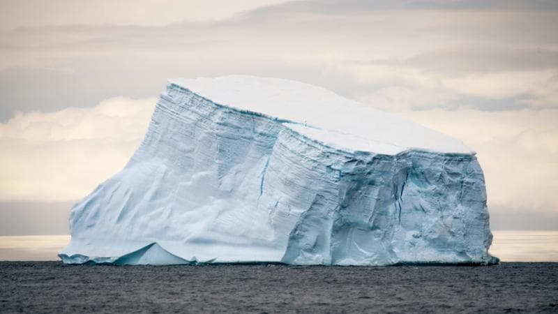 Anteprima: L'allarme dei ricercatori: aumenta il numero di iceberg nel mondo. La paura dell’effetto…