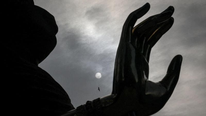 A bird flies (Jeenah Moon/Reuters)