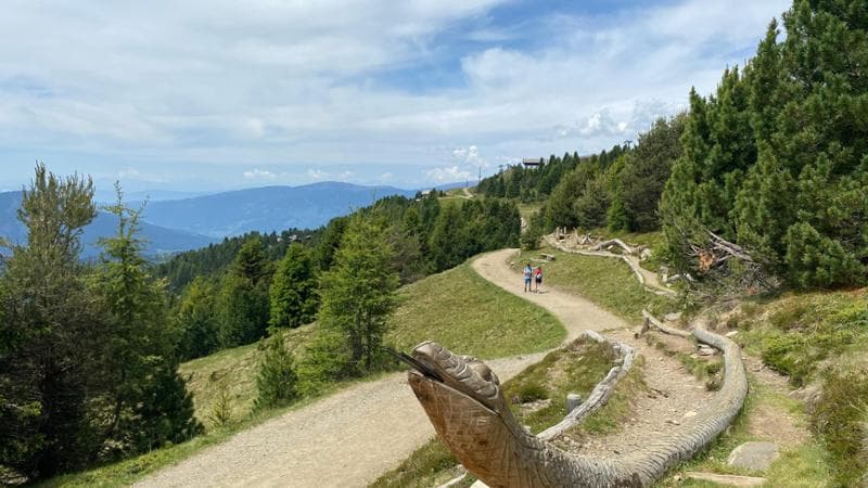 Plose, Woody Walk