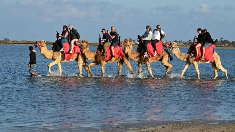 FETHI BELAID / AFP