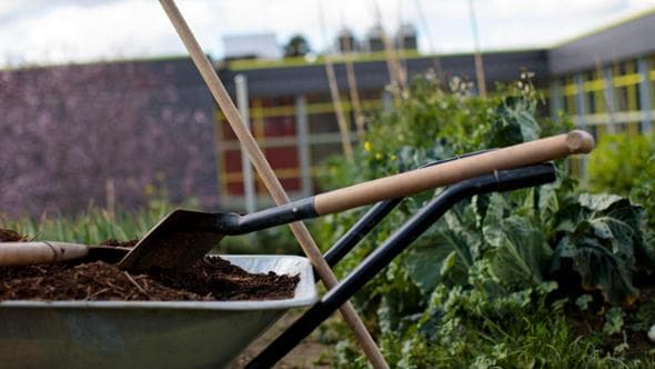 Caffè, quando le capsule alimentano orti e frutteti diffusi