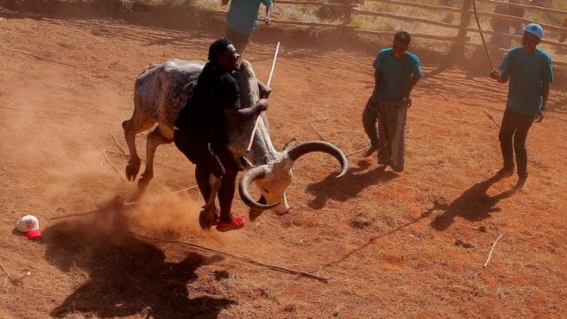 Zo Andrianjafy/Reuters