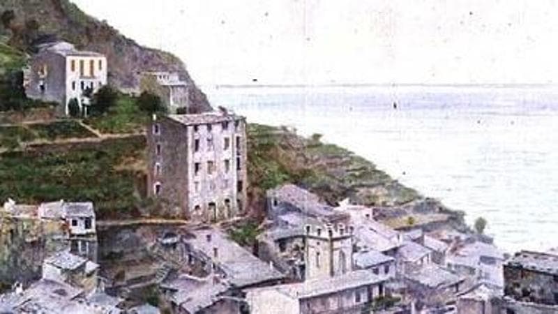 Un dettaglio dell’opera Telemaco Signorini "Tetti a Riomaggiore (1892-1894)" alla Galleria d’Arte Moderna, Palazzo Pitti, Firenze