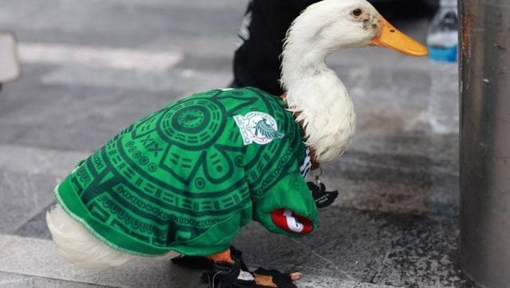 La papera Merlin, mascotte del Messico