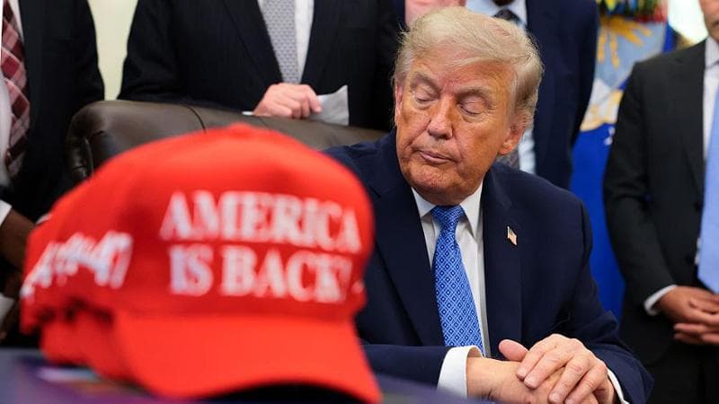 L’America del diritto