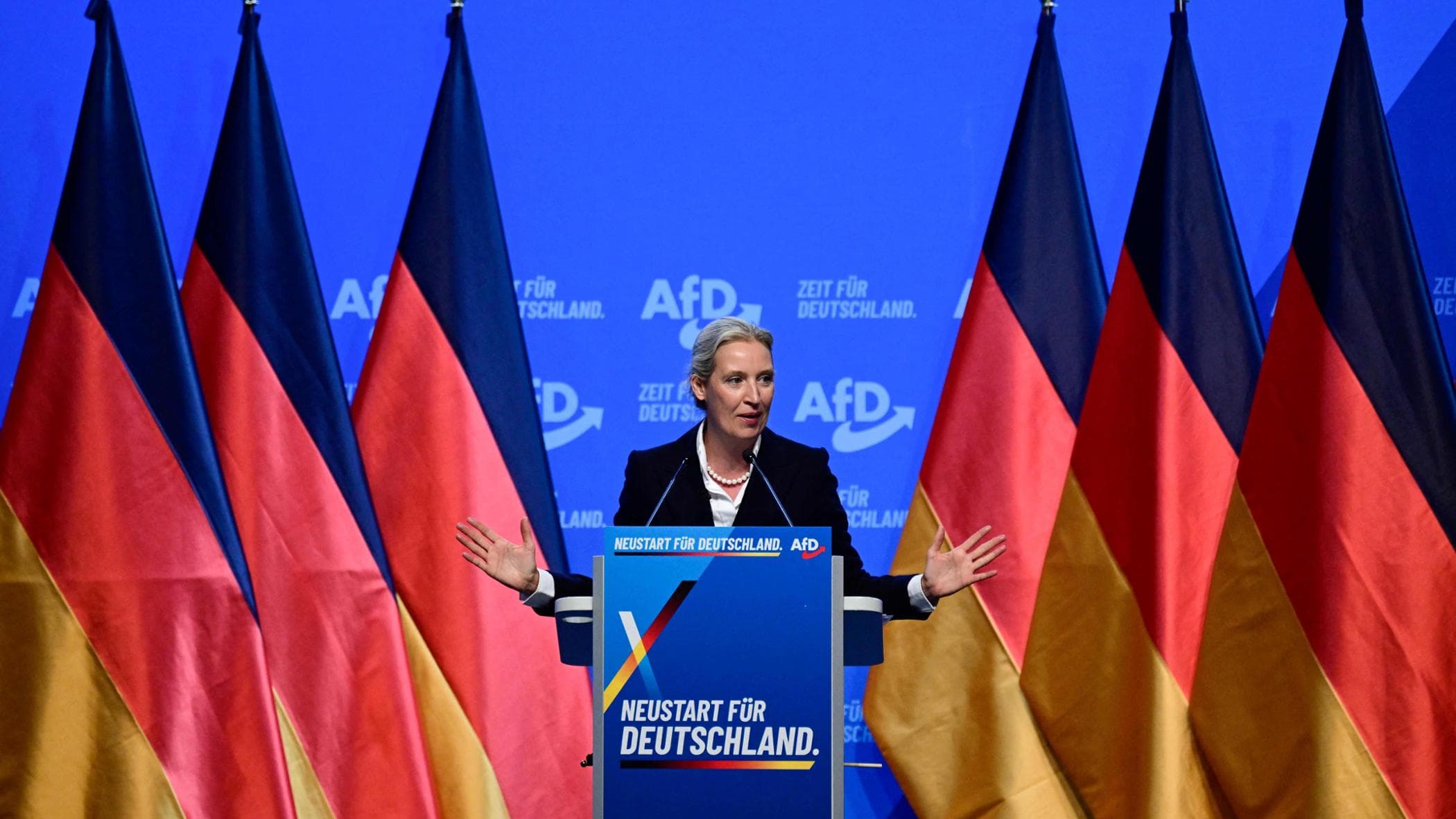 “La scelta della data per il congresso non è un caso, mano tesa da Afd ai neonazisti per l’alleanza”