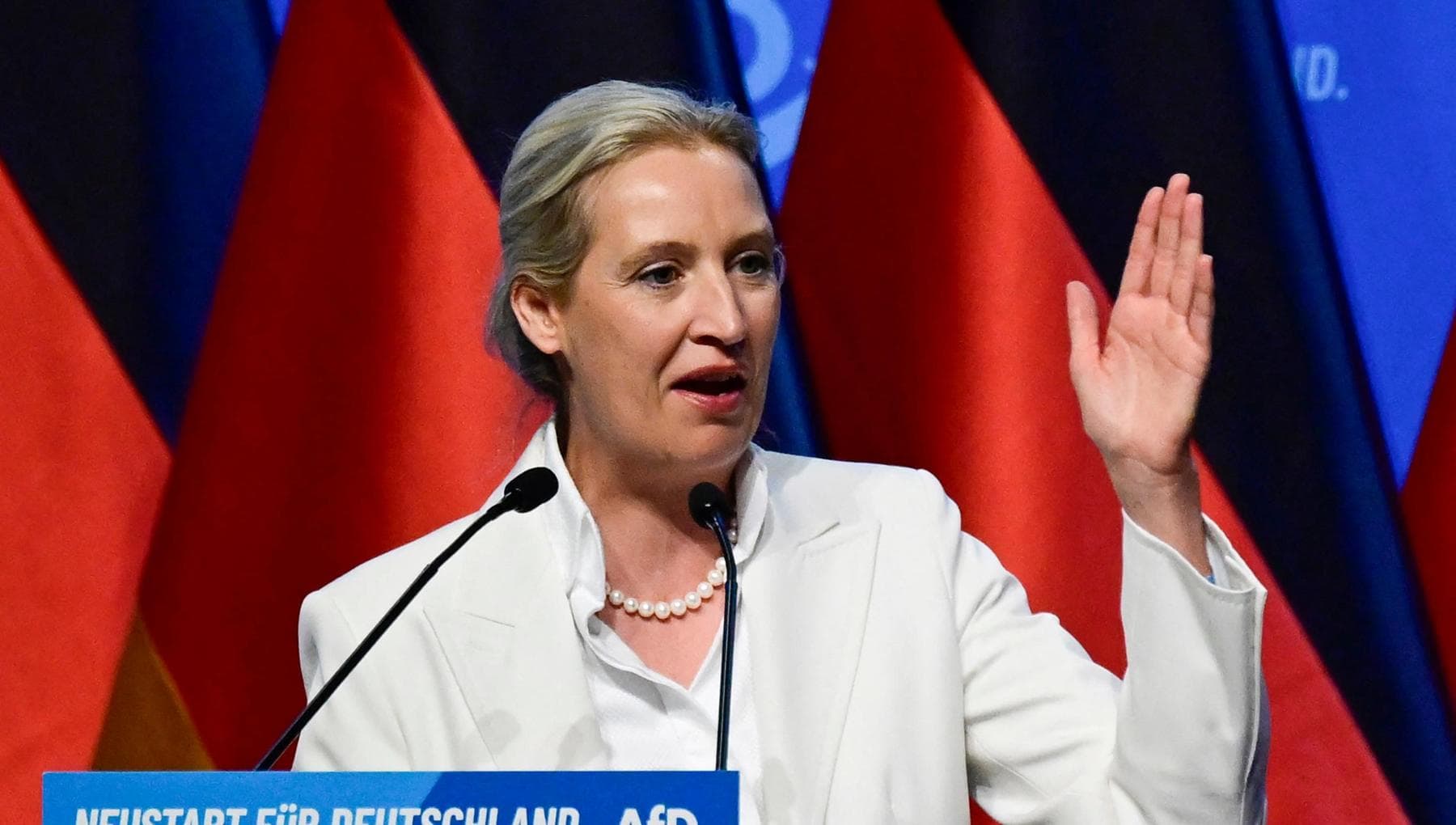 alice weidel critica il programma afd sulla famiglia tradizionale io vivo in un altro modo da Repubblica.it alice weidel critica il programma afd sulla famiglia tradizionale io vivo in un altro modo