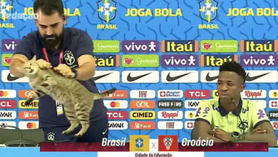 La maledizione del gatto dietro il flop di Ancelotti: i brasiliani ci credono