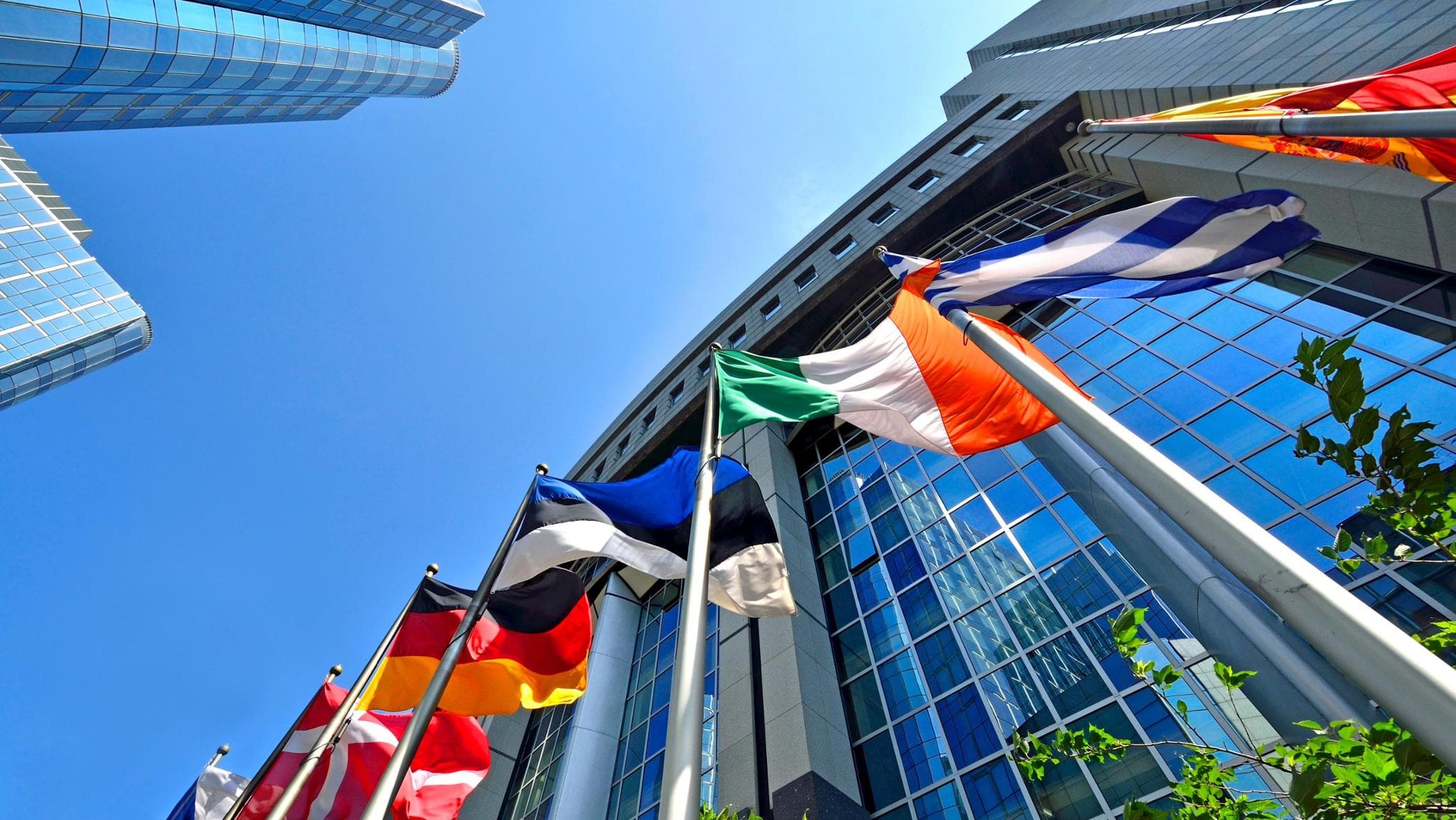 via libera da strasburgo a indagine sul partito di estrema destra esn da Repubblica.it via libera da strasburgo a indagine sul partito di estrema destra esn