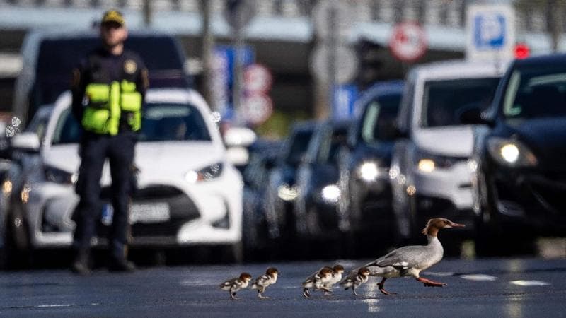 Wojtek RADWANSKI / AFP