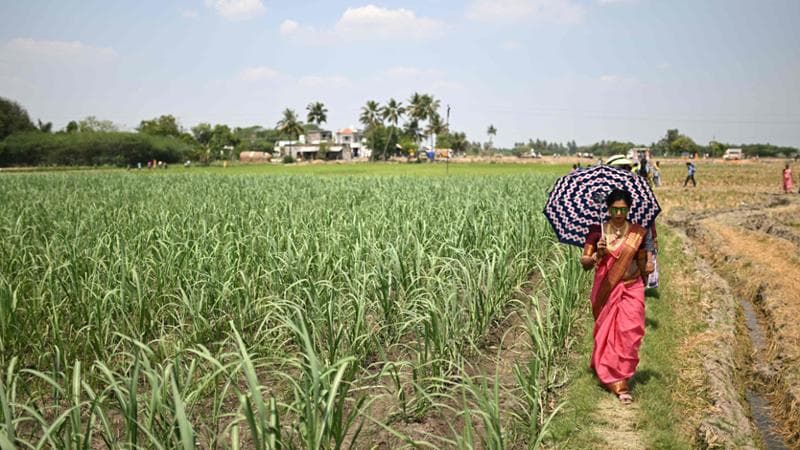 R.Satish BABU/AFP