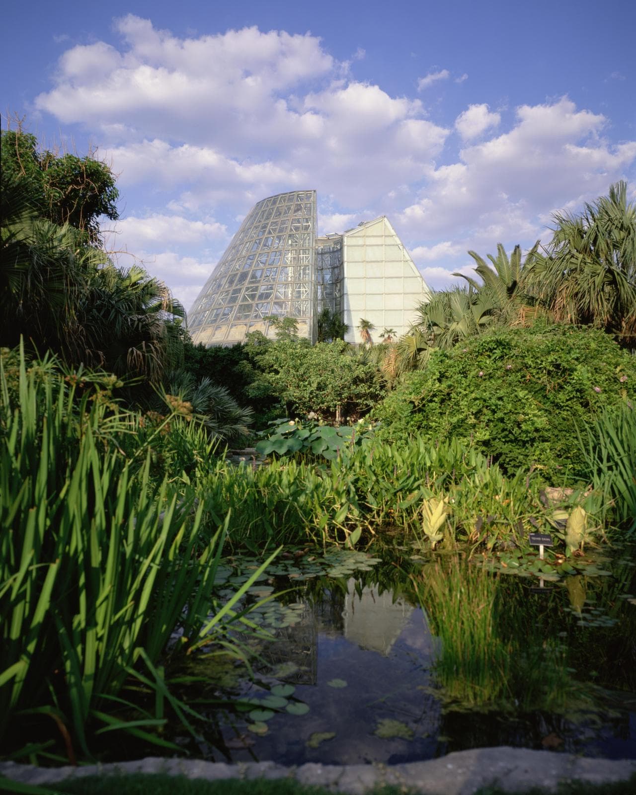 Il Lucille Halsell Conservatory fa parte dell'Orto botanico di San Antonio, in Texas. Il lungo percorso espositivo, le aule e le sale si sviluppano sottoterra, mentre in superficie svettano i grandi lucernari
