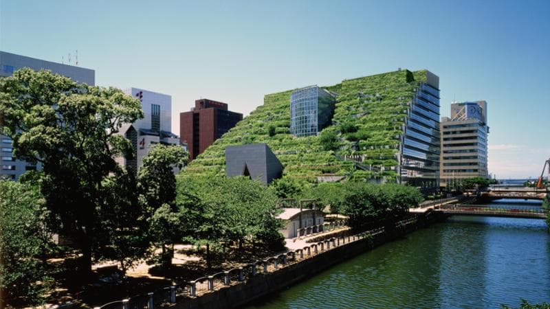La Prefectural International Hall di Fukuoka "ha cambiato il clima e la biodiversit&agrave; della zona con giardini accessibili a tutti. Le sue 35.000 piante sono diventate 50.000, grazie agli uccelli che hanno portato semi di altre specie"
