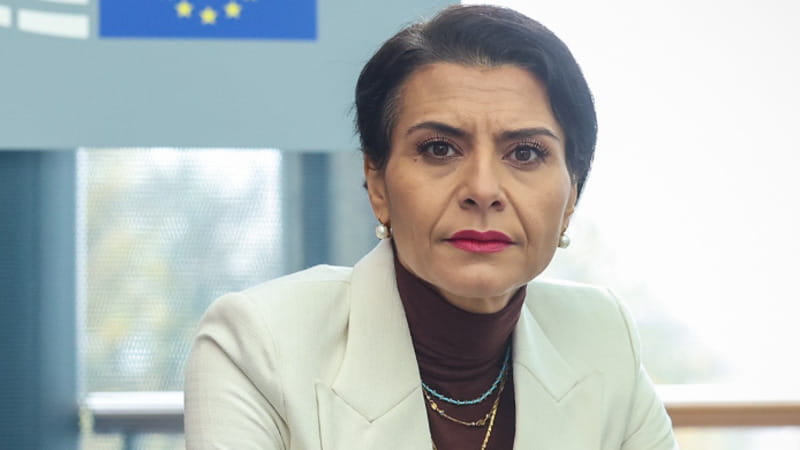 “Torna a casa tua”. Eurodeputata svedese nata in Iraq denuncia per razzismo collega d’estrema destra