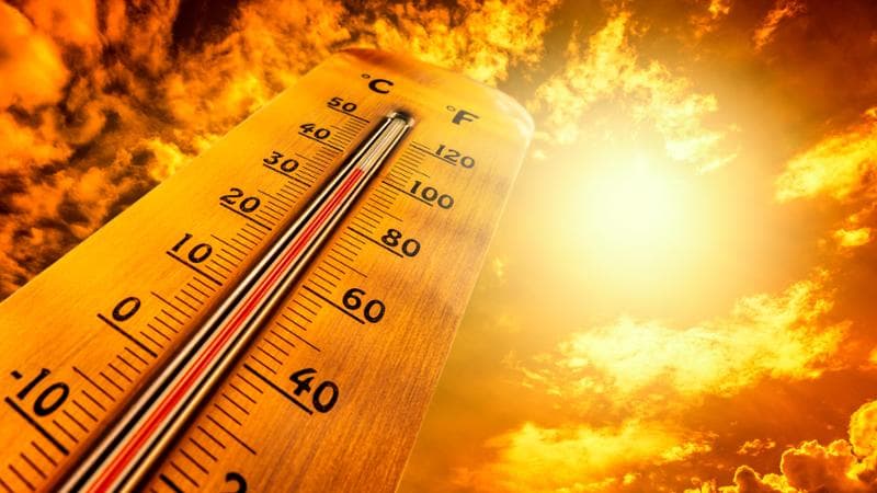 Caldo, il picco domani, oggi 16 città da bollino rosso, sabato 19. In Sardegna 47 gradi. Tre i morti
