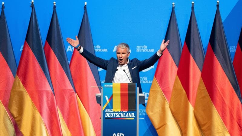 Il congresso Afd, cent’anni dopo