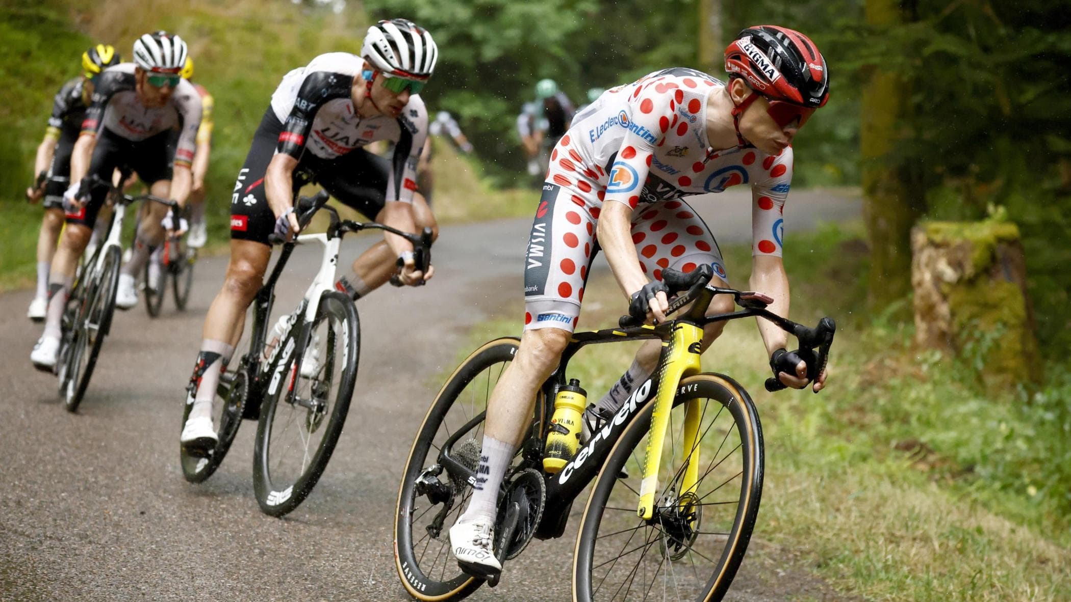 vingegaard si ritira dopo una caduta colpo di scena al tour era secondo in classifica da Repubblica.it vingegaard si ritira dopo una caduta colpo di scena al tour era secondo in classifica