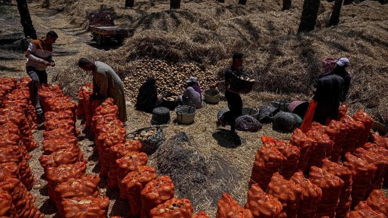 Khaled DESOUKI / AFP