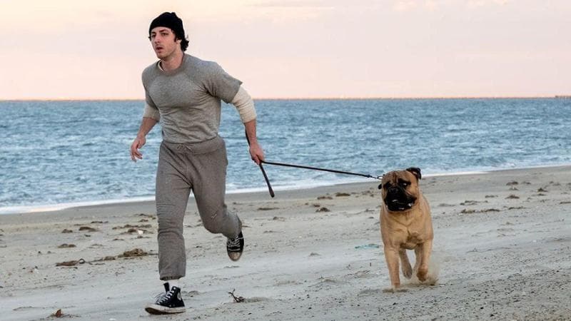 “Rocky sono io”, al Toronto Film Festival il biopic su Sylvester Stallone