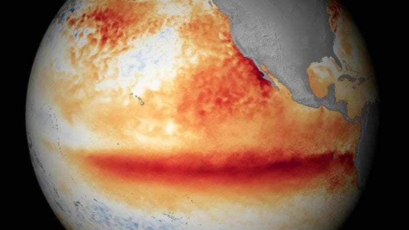 Caldo anche in inverno e prezzi del cibo in aumento. Gli effetti di un Niño in formato “Gozzilla”