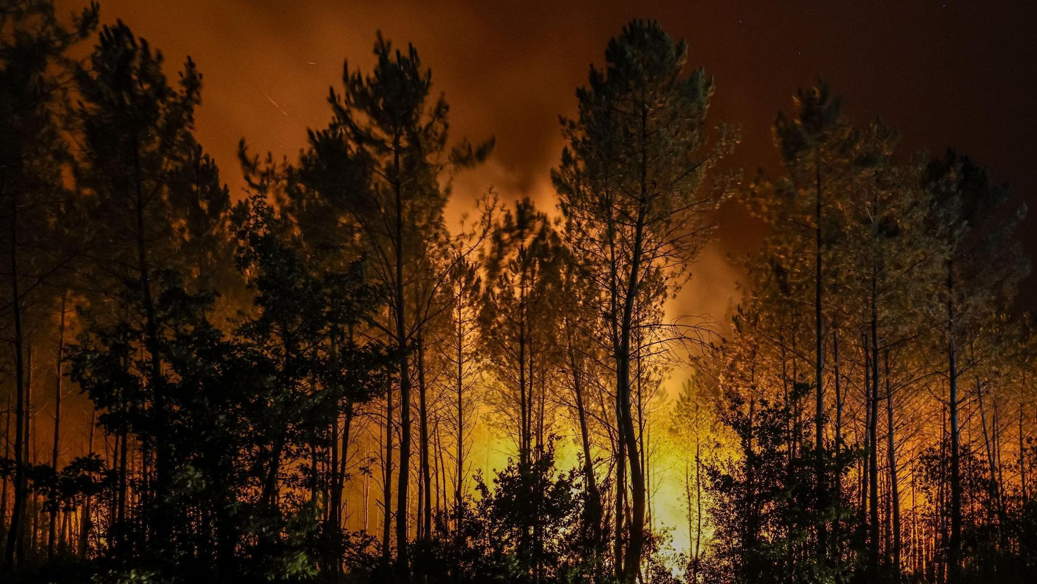 Tra gli evacuati della Gironda: “Dal cielo un temporale di braci”