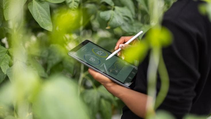 La competitività passa dalle filiere e dalla tecnologia